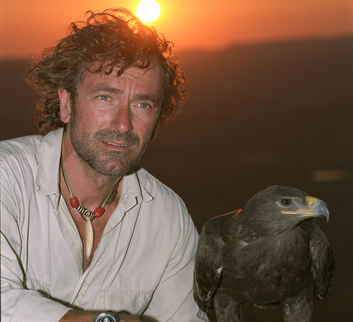 Etna Comics-Fondazione D’Arrigo una collaborazione tra arte e scienza