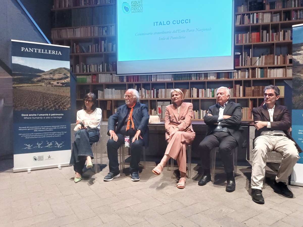 La vite ad alberello di Pantelleria è un esempio di sostenibilità