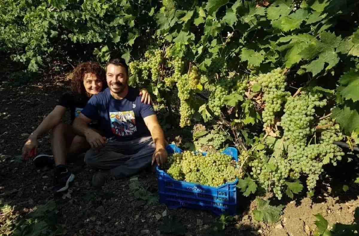Il vino migliore è trapanese: ecco chi ha vinto il “Concorso internazionale Vermentino” 2024