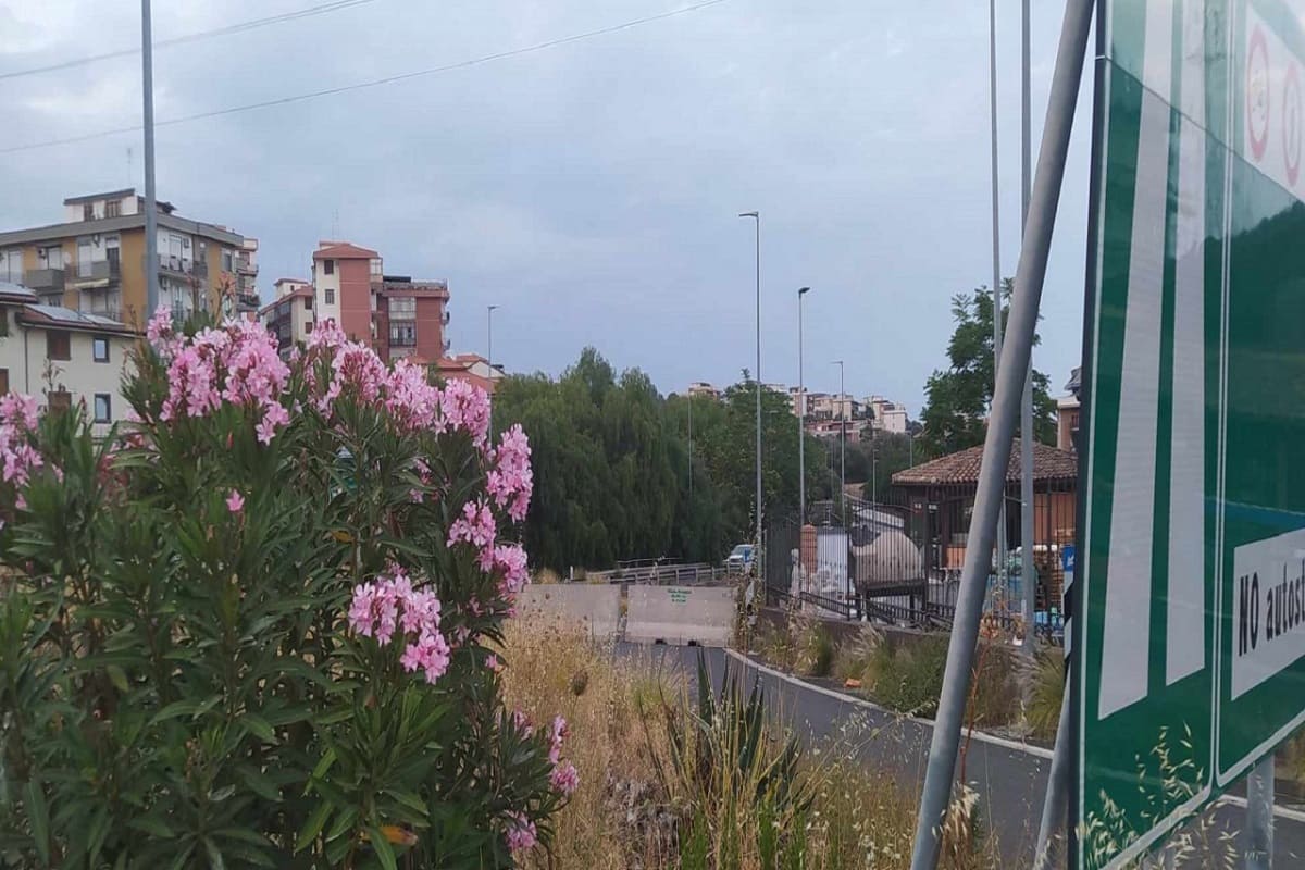 Lavori e cantieri sulla A18, svincoli di Canalicchio - QdS (1)