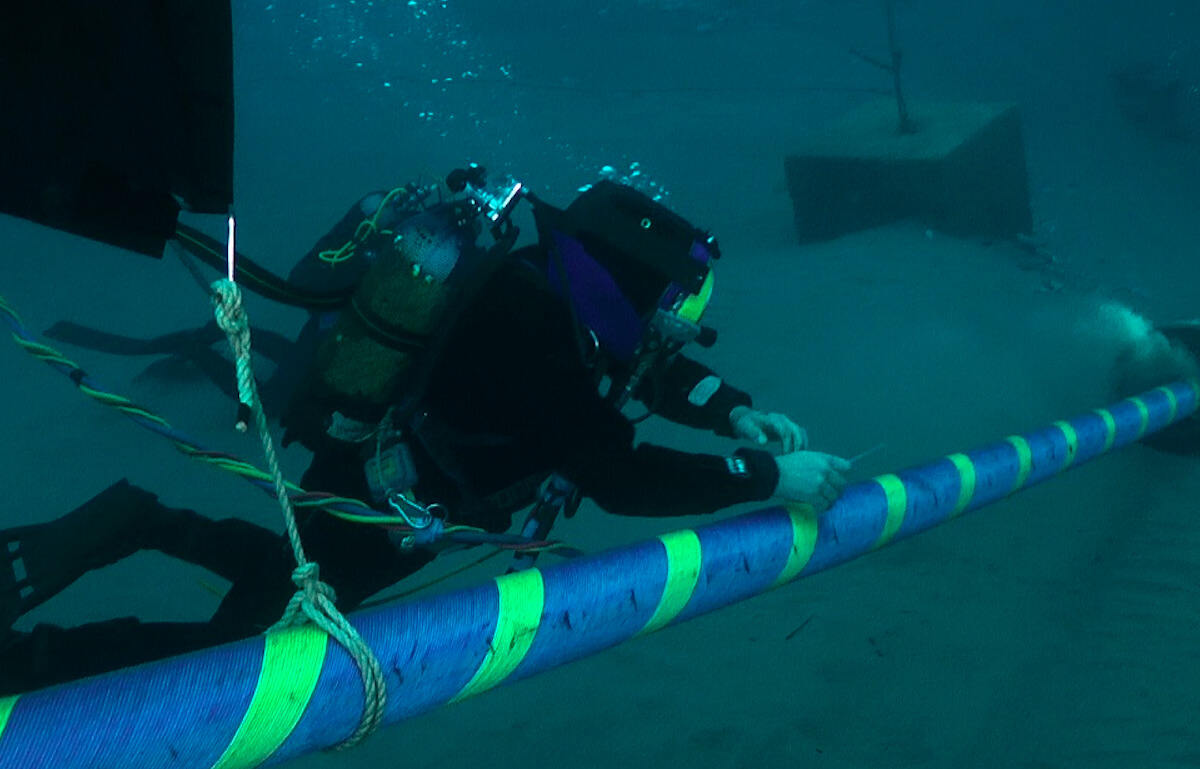 Connessione energetica tra Italia e Tunisia, Di Foggia: “Combinare il Piano Mattei allo sviluppo”