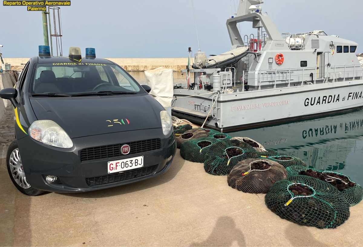 FOTO | Licata, sequestrati oltre 5mila esemplari di riccio di mare: le sanzioni