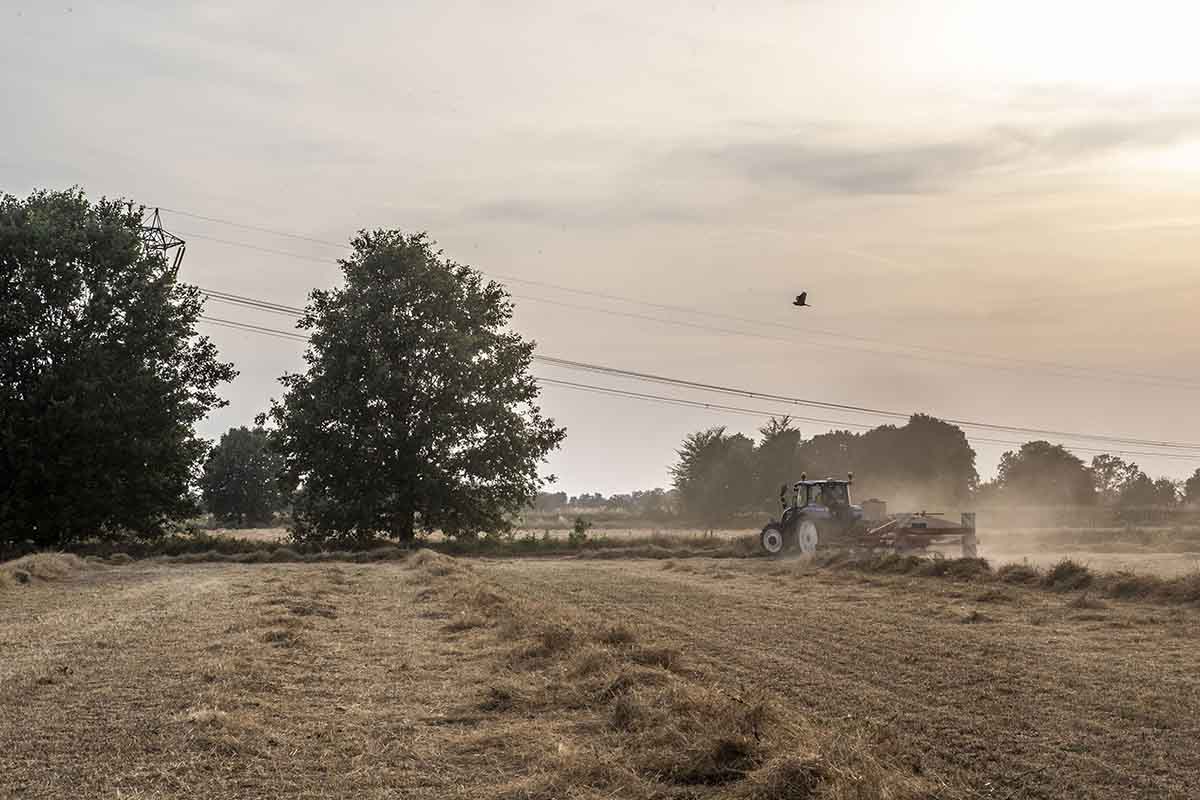 Siccità in Sicilia, agricoltori allo stremo: “Cerchiamo una mano d’aiuto”