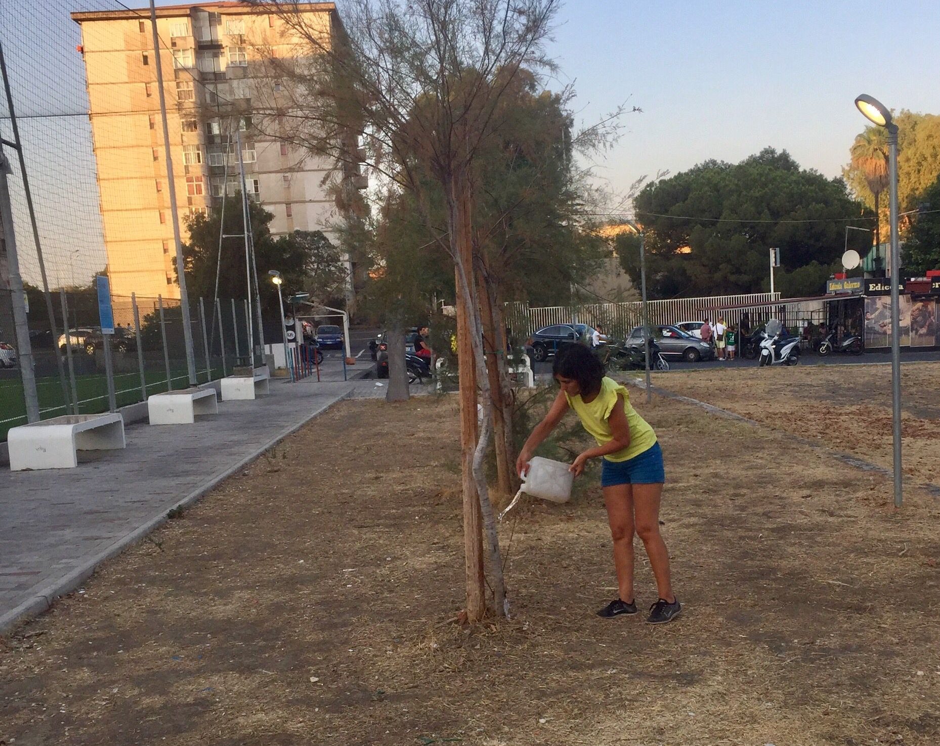 Cleanup Sicily, quei volontari che “adottano” gli alberi della città Cleanup Sicily, quei volontari che “adottano” gli alberi della città