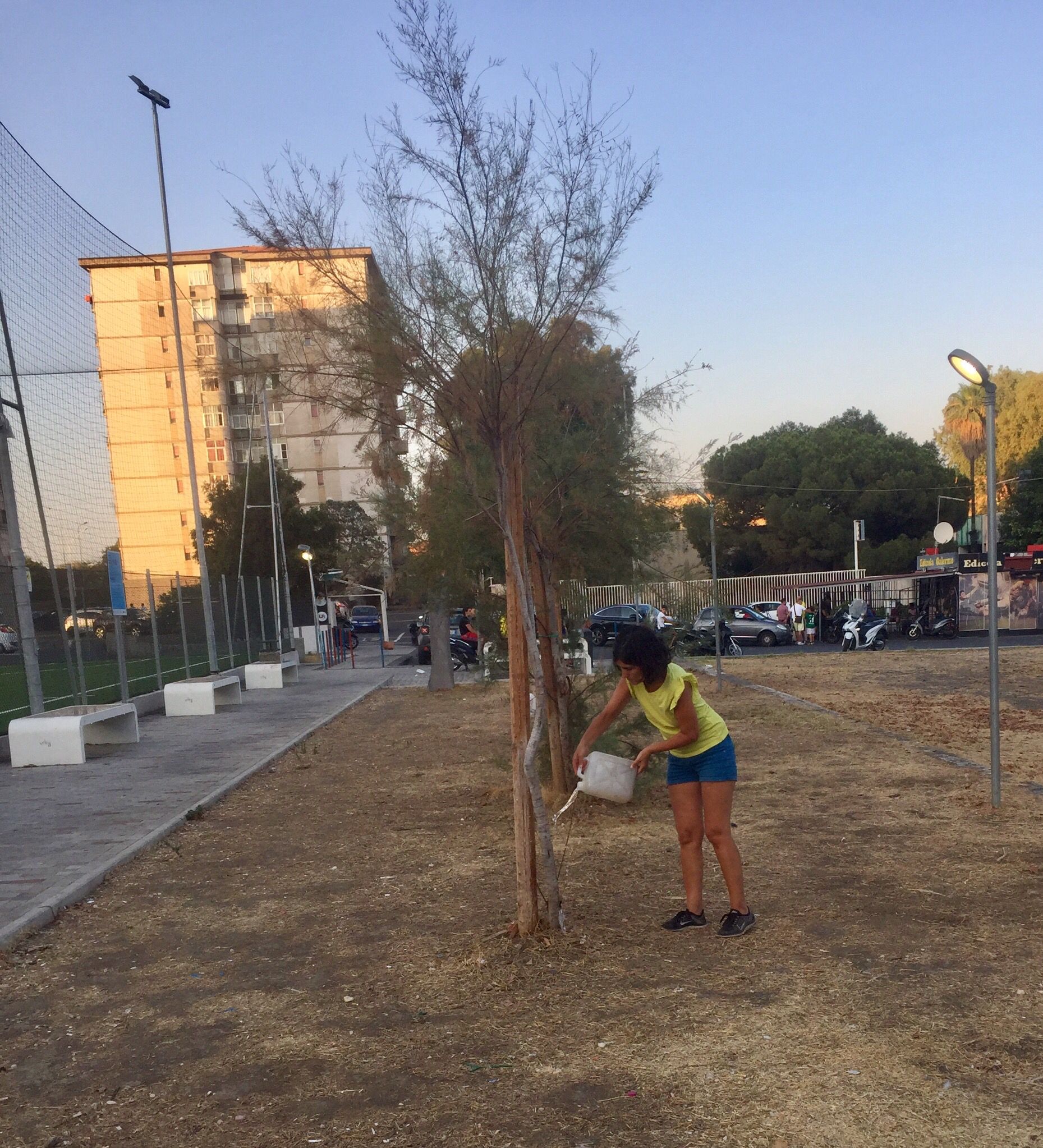 Cleanup Sicily, quei volontari che “adottano” gli alberi della città