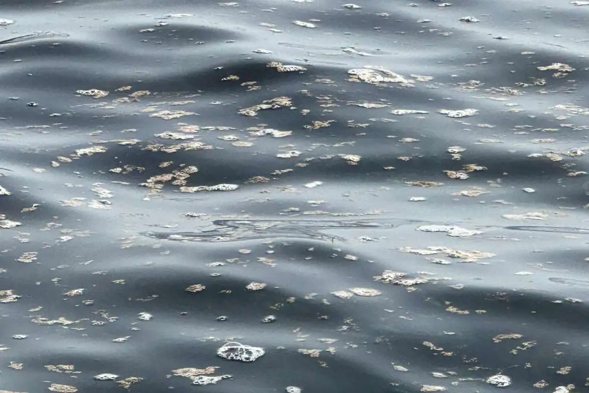 Mare di Aci Castello “sorvegliato speciale”