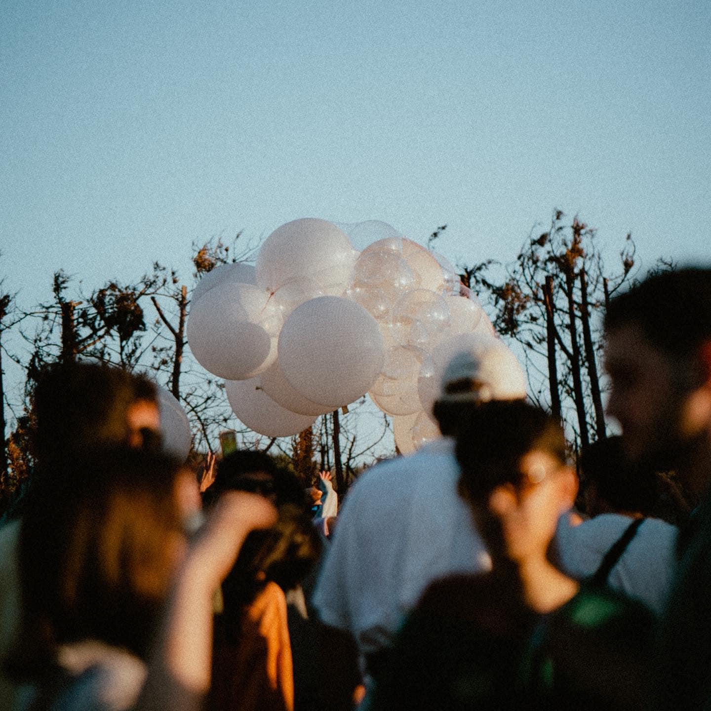 Litoranea Festival, il linguaggio universale della musica torna protagonista a Portopalo