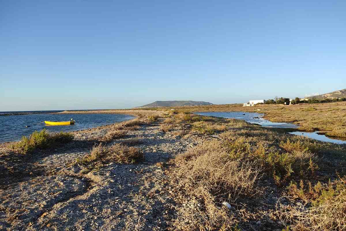 I trasporti per le Isole Egadi sono un caso, Bica: “Parlato con Aricò, ok rimborso biglietti”