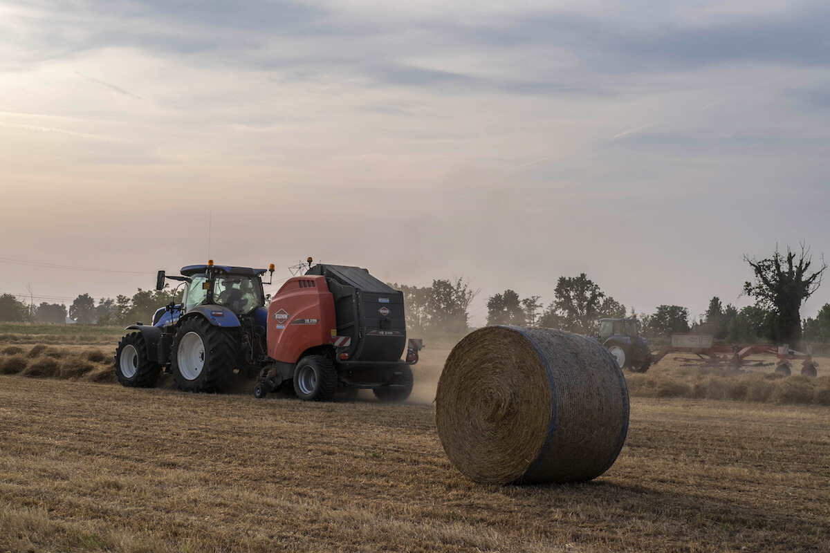 Bonus fieno, parte la distribuzione in Sicilia: ecco come funziona e i centri per il ritiro
