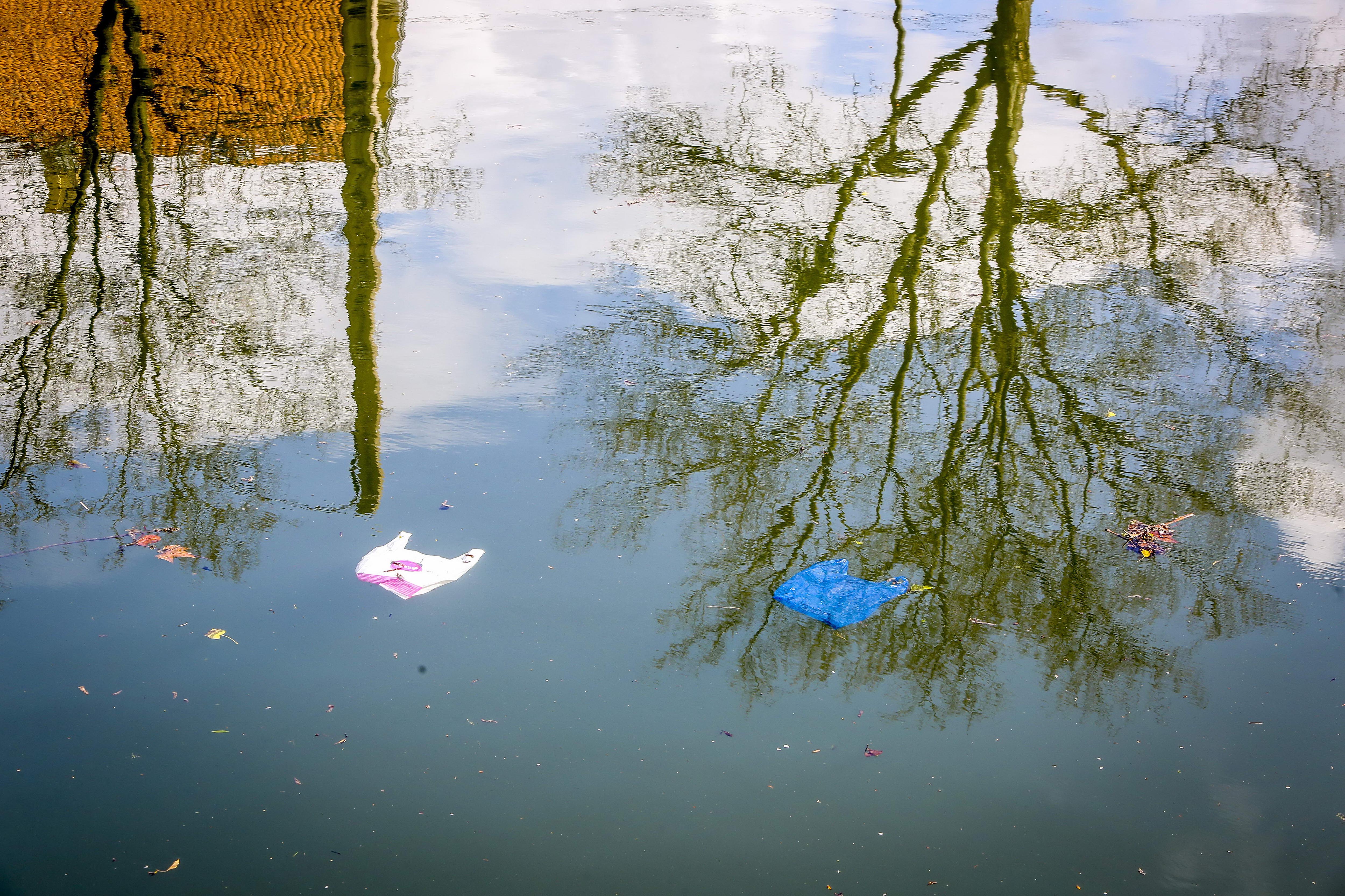 Ecoreati, la mafia uccide anche l’ambiente. E in Sicilia numeri da paura