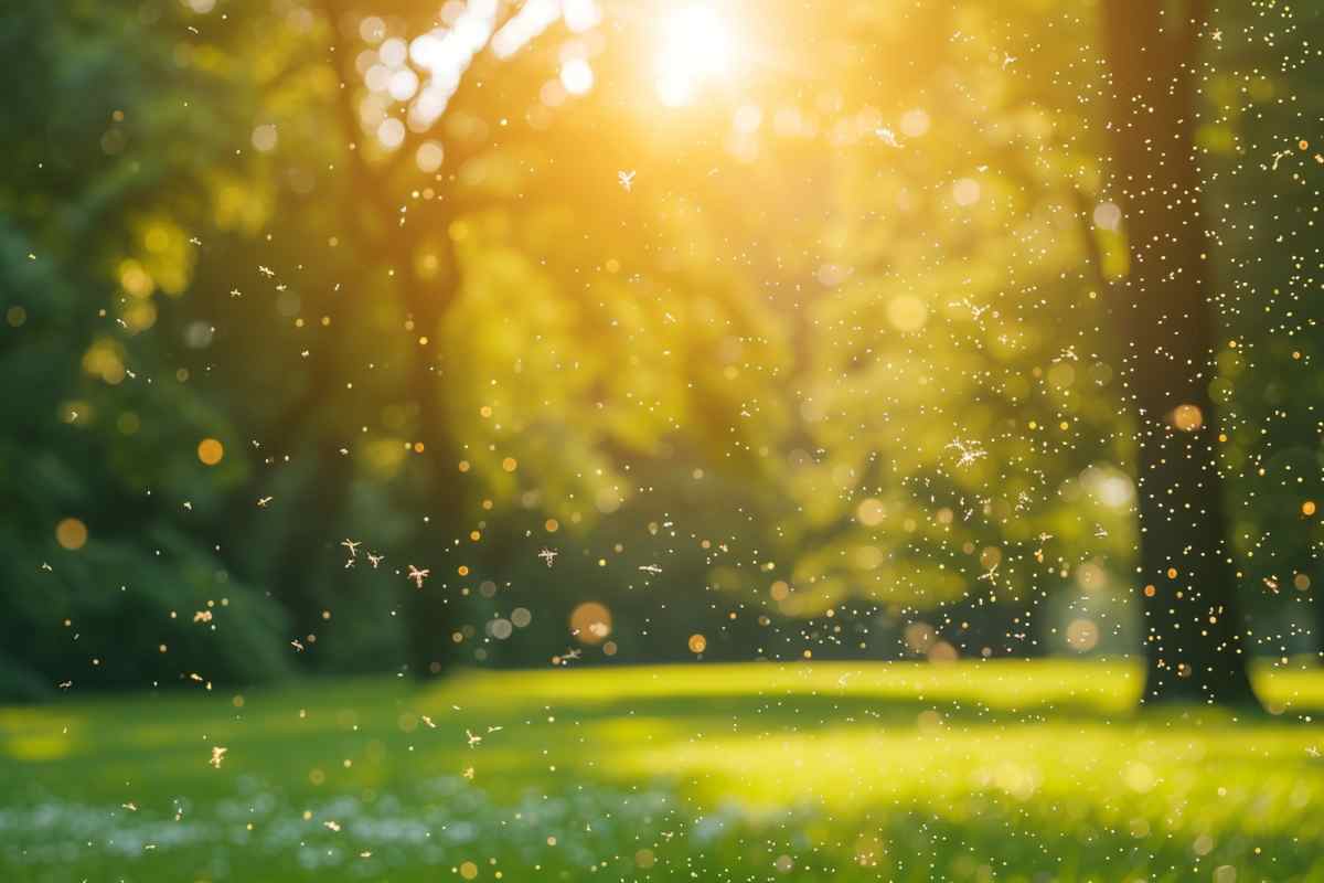 PODCAST | La Fitoterapia con estratti di polline e pistillo: cos’è e come funziona