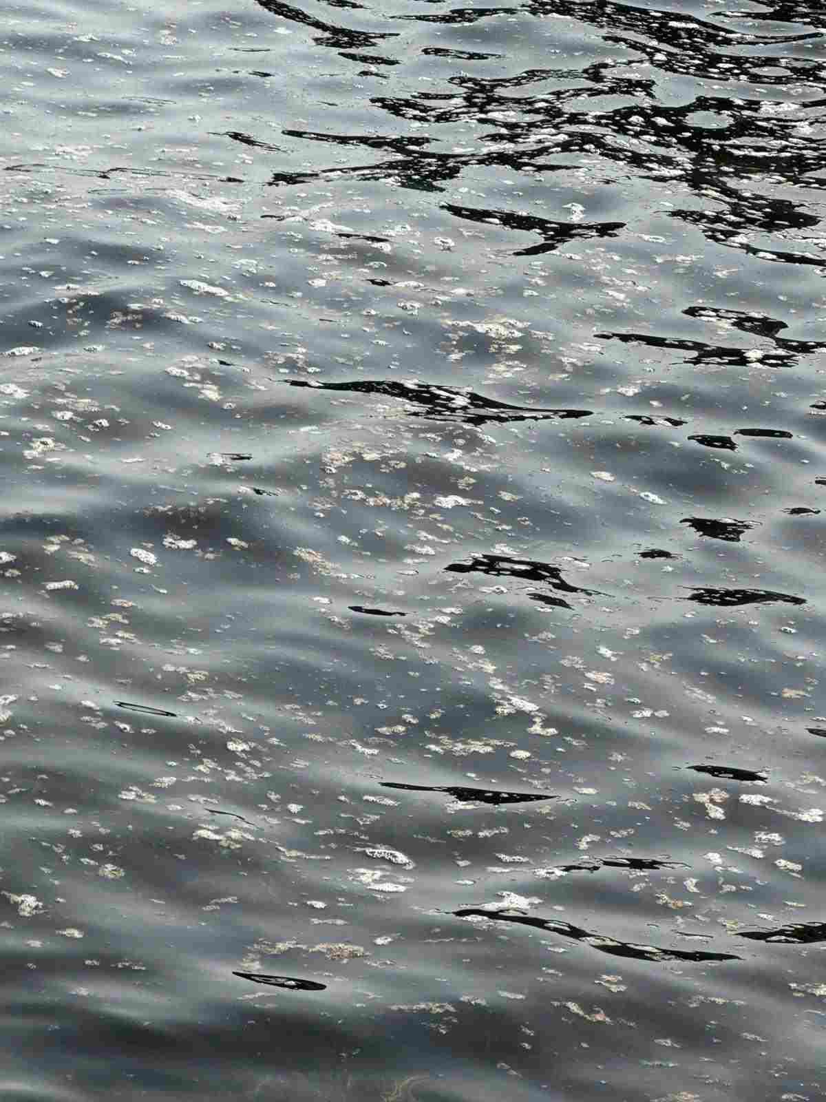 Mare inquinato in Sicilia: Codacons presenta esposto a quattro Procure