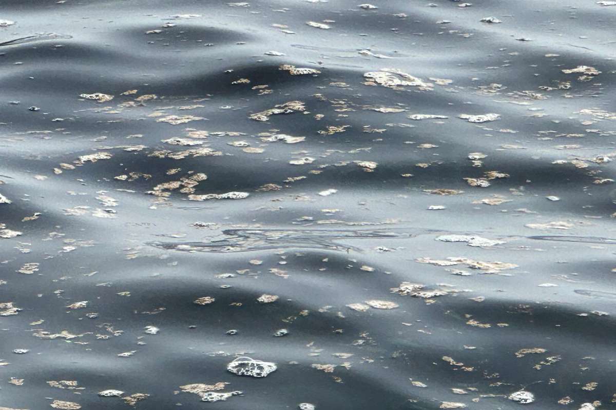 FOTO | Il collettore fognario di Aci Castello: mare sporco, soliti problemi