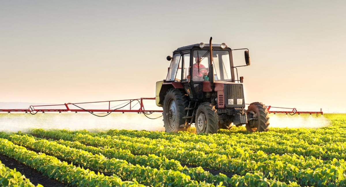 Slow Food sul G7 Agricoltura, le proposte dei leader che si riuniranno a Siracusa