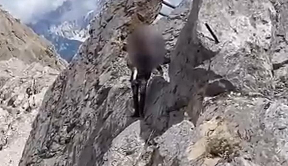 VIDEO | Ferrata Bepi Zac: papà porta bimbo piccolo in braccio senza attrezzatura