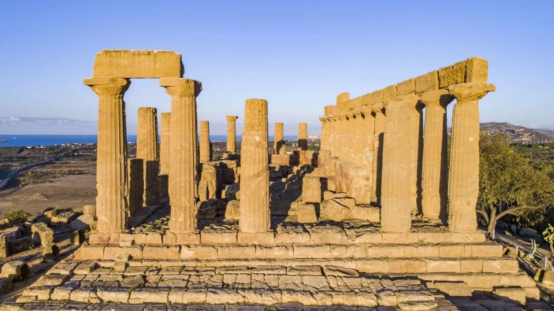 Il “frutto sacro” nasce in Calabria