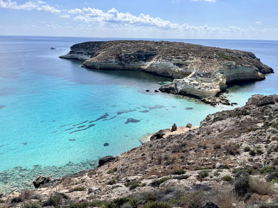 Lampedusa, Isola dei conigli, successi e spinte per il futuro