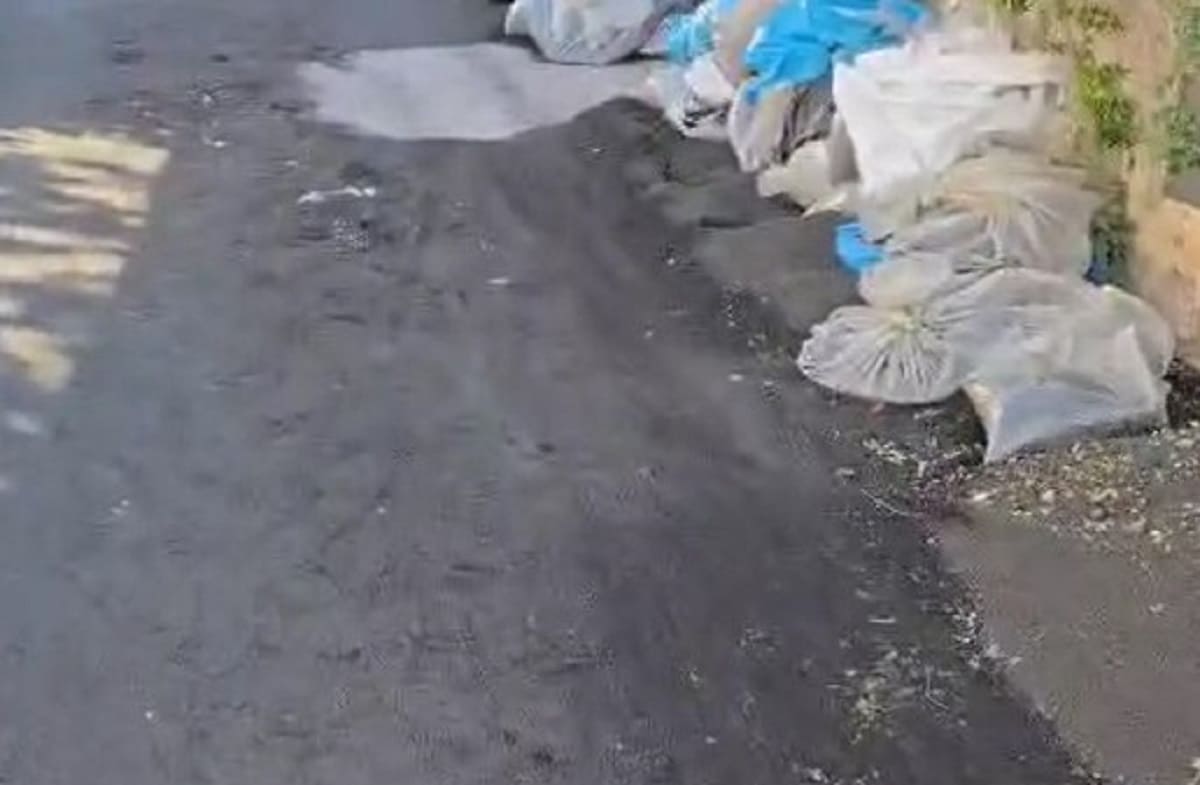 VIDEO | Milo ricoperta di cenere dell’Etna, l’appello del sindaco: “Quantità immensa”