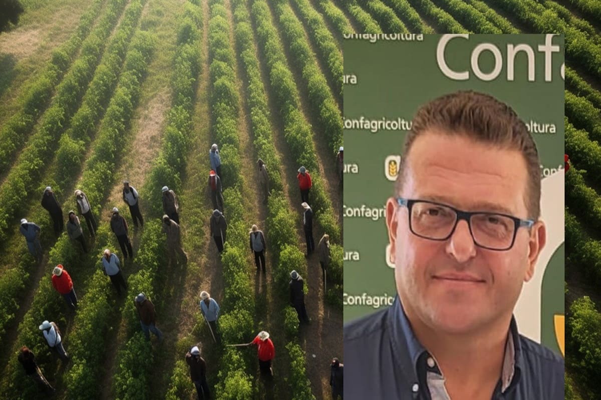 Siccità e agricoltura allo stremo: “Non possiamo lavorare in perdita, costretti a tagliare gli investimenti”