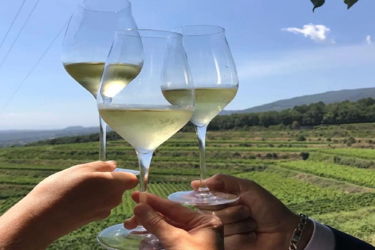 Dal 26 agosto è tempo di Vinimilo: le date e il programma dell’edizione del 2024