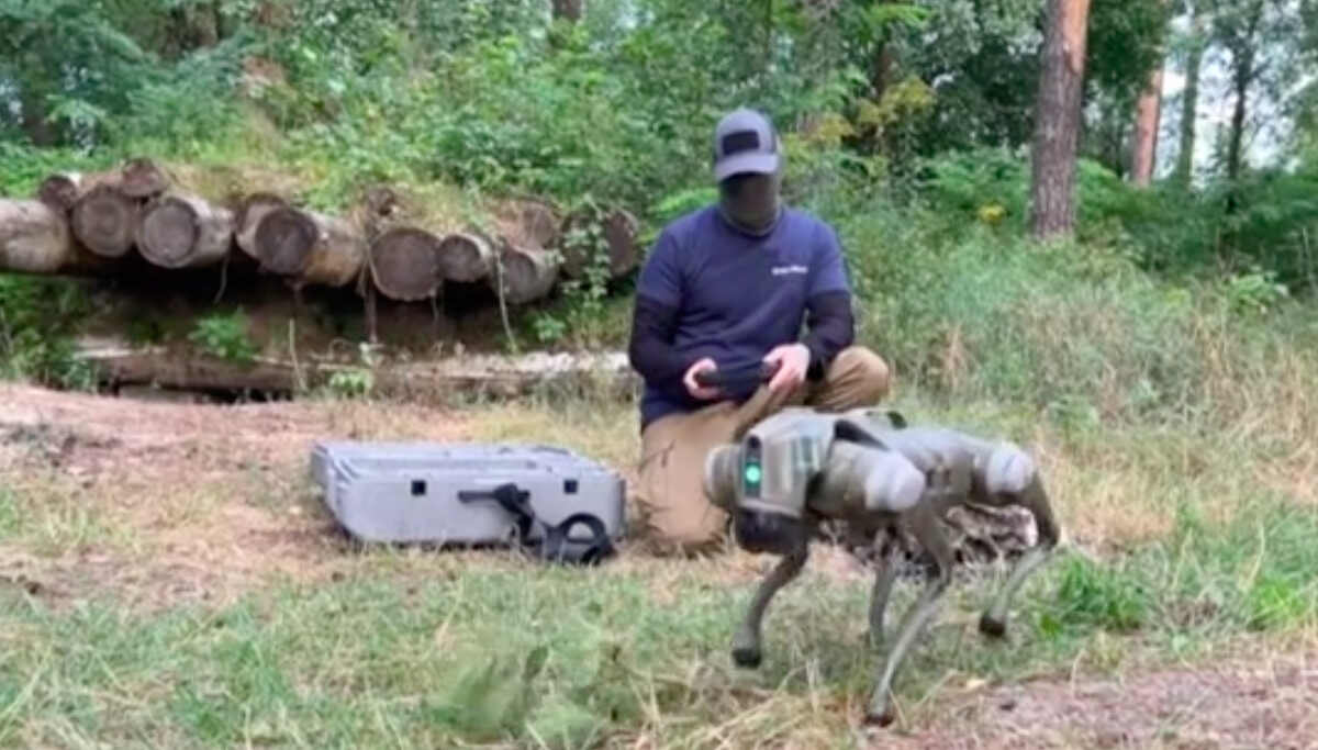 VIDEO | I cani robot alleati in prima linea in Ucraina contro la Russia