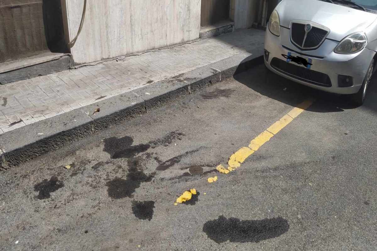 FOTO | Catania, raccolta della cenere dell’Etna. Pesce: “Si procederà ancora per giorni” FOTO | Catania, raccolta della cenere dell’Etna. Pesce: “Si procederà ancora per giorni”