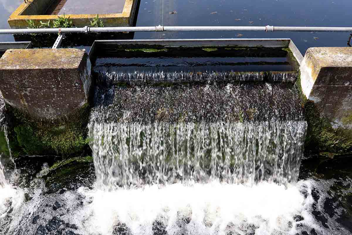 Concorso al Consorzio Rete Fognante in Sicilia: basta la licenza media, ecco il bando