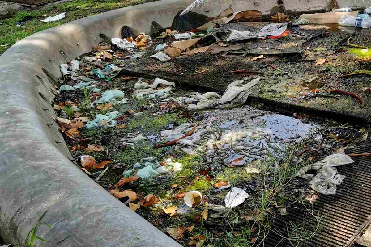 FOTO | Catania, discarica nella Fontana di Proserpina: Cardello chiede sicurezza e decoro FOTO | Catania, discarica nella Fontana di Proserpina: Cardello chiede sicurezza e decoro