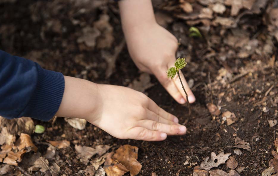 Tutela biodiversità: in vigore la normativa Ue. Entro il 2026 i piani di ripristino degli Stati