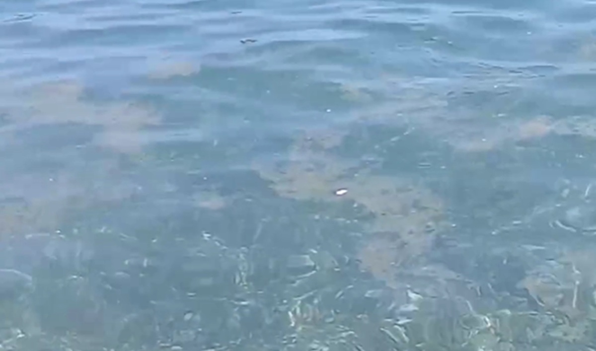 Mare, lunga scia di reflui a Sant’Alessio Siculo. Il sindaco: “Depuratore funziona correttamente”