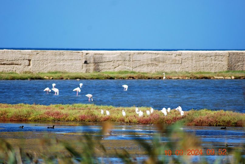Cittadini a difesa della Laguna di Tonnarella