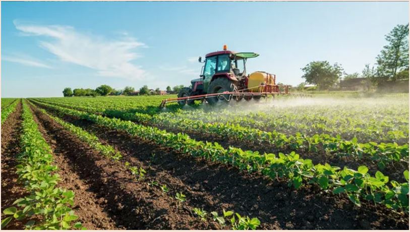 Siccità, 100 milioni per interventi in agricoltura. Schifani: “Aiuto concreto contro la crisi”
