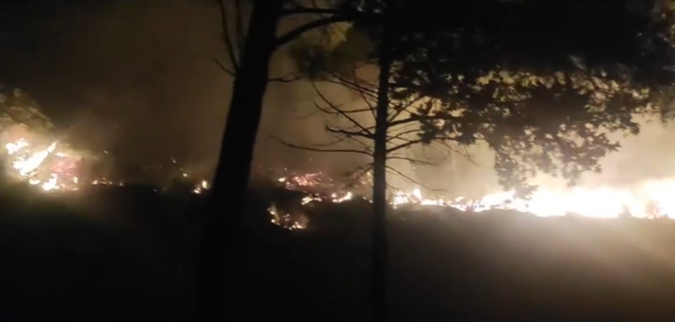 Paura ad Erice: scoppia incendio nella notte, minacciate alcune abitazioni