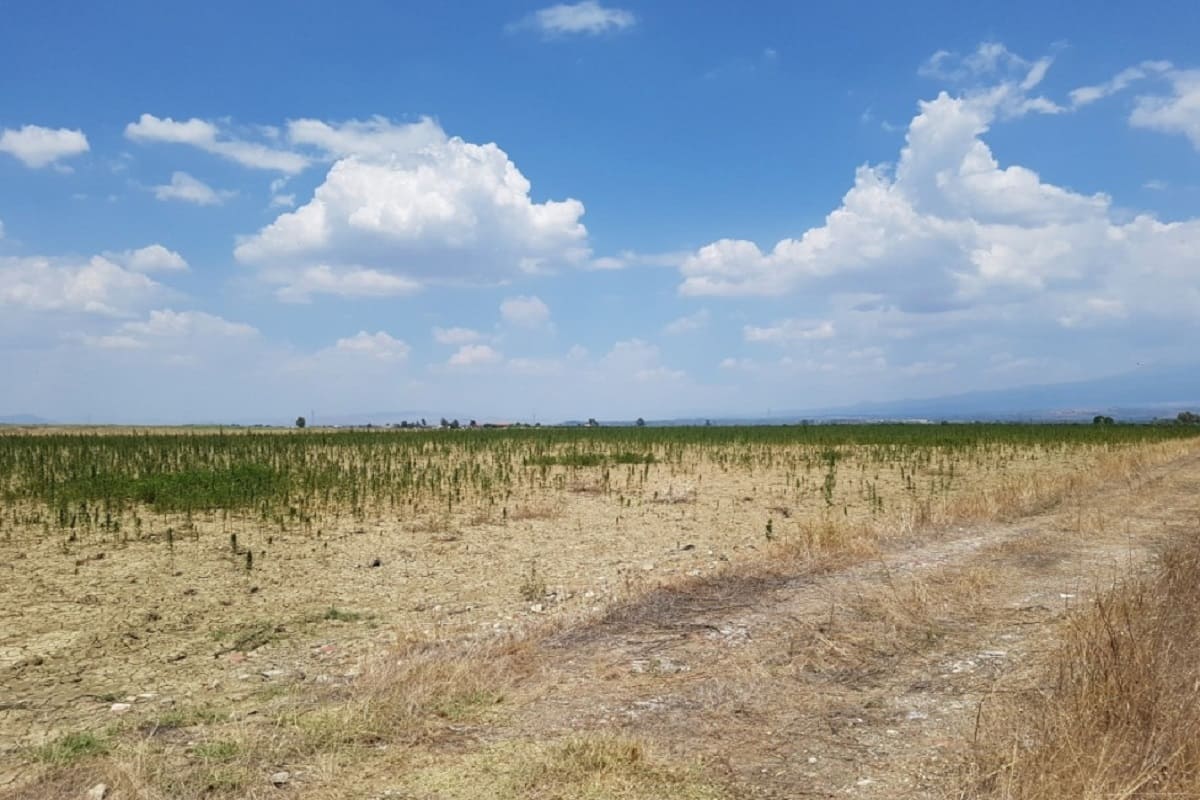 Rinnovabili, il Tar di Catania bacchetta la Regione per lentezza su progetto di fotovoltaico vicino Sigonella