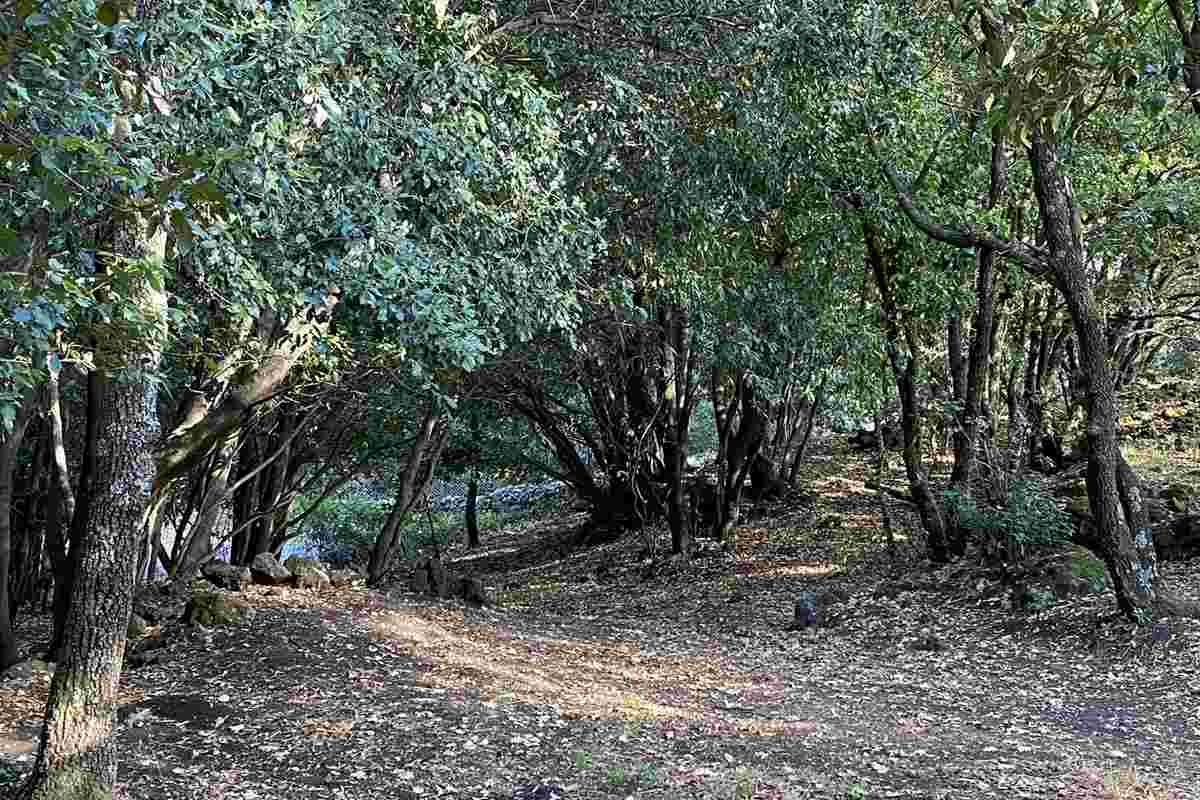 Casa della Capinera (Trecastagni), evento di Clean up “Spazio alla bellezza”