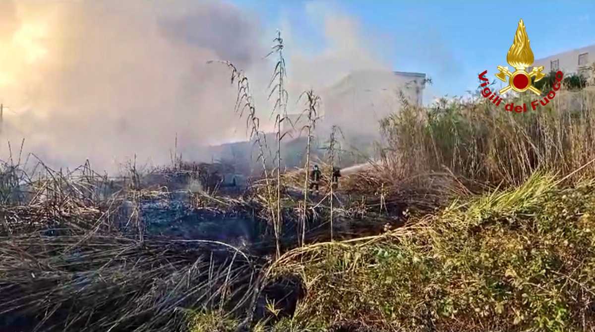 FOTO | Catania, canneto prende fuoco vicino al cimitero: intervento in corso