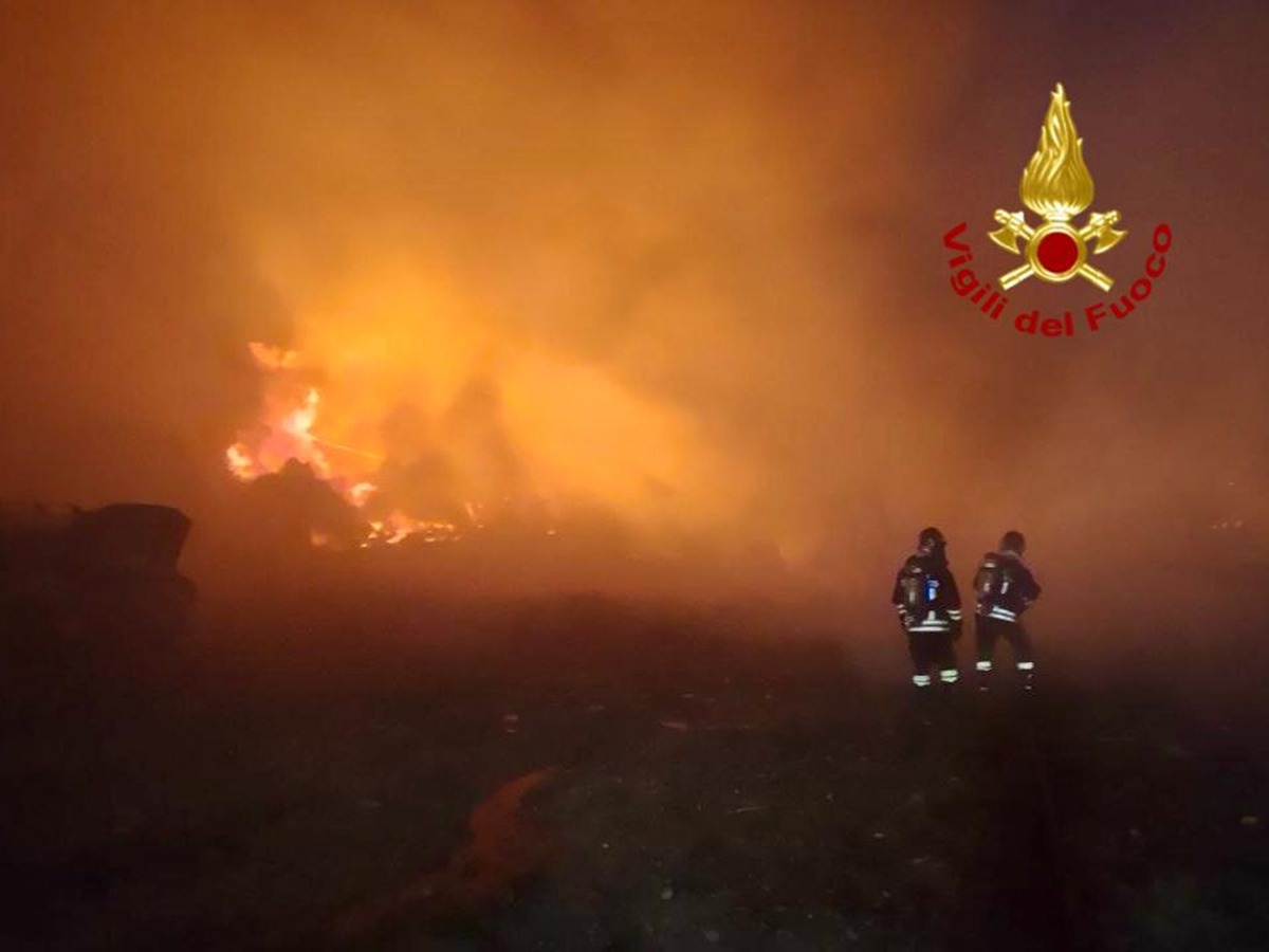 Sicilia, nel 2024 il 25% della superfice boschiva è stata devastata dagli incendi: i dati