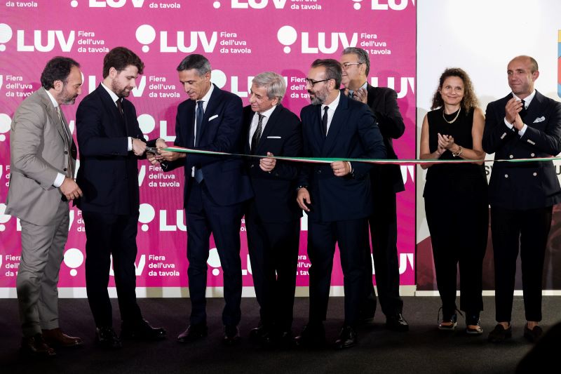 Uva da tavola e innovazione, la vetrina Luv fiera per valorizzare le eccellenze di Puglia e Sicilia