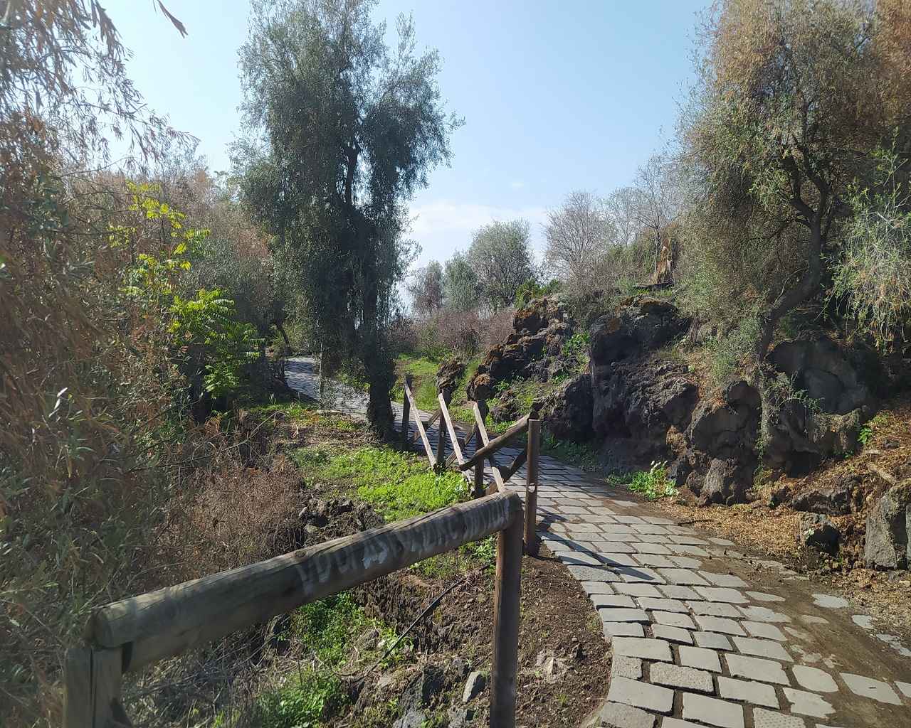 FOTO E VIDEO | Catania, Parco Gioeni sempre più degradato e abbandonato: “Va reso anche a misura di bambini”