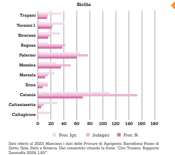 Business, orrore e violenza sugli animali: tra corse clandestine e abusi, la zoomafia “regna” in Sicilia