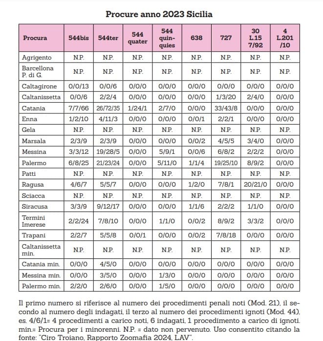 Business, orrore e violenza sugli animali: tra corse clandestine e abusi, la zoomafia “regna” in Sicilia