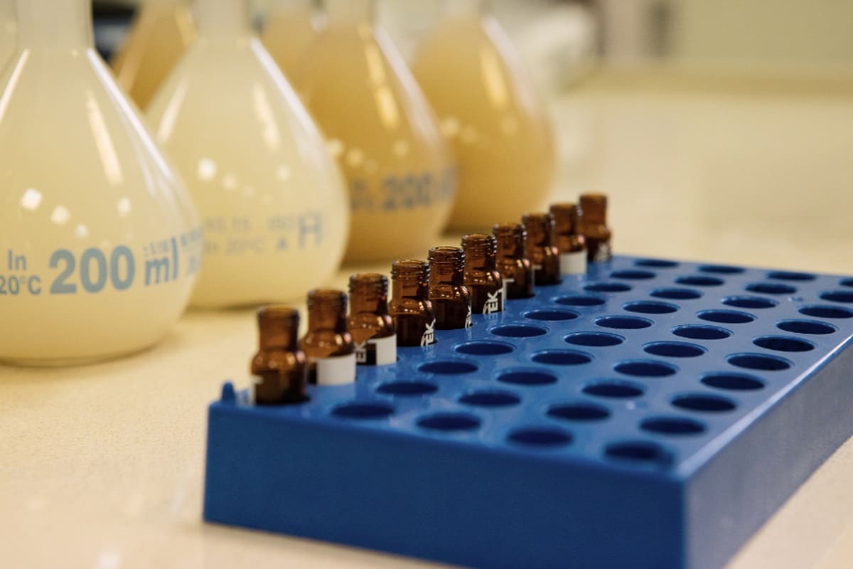 Virus sinciziale, Schifani scrive al ministro Schillaci: “Garantire ai siciliani il diritto ai vaccini”