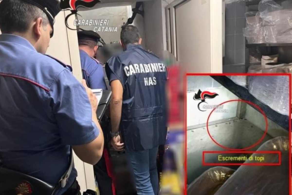 Catania, blatte ed escrementi di topo in un bar di via Etnea: attività sospesa