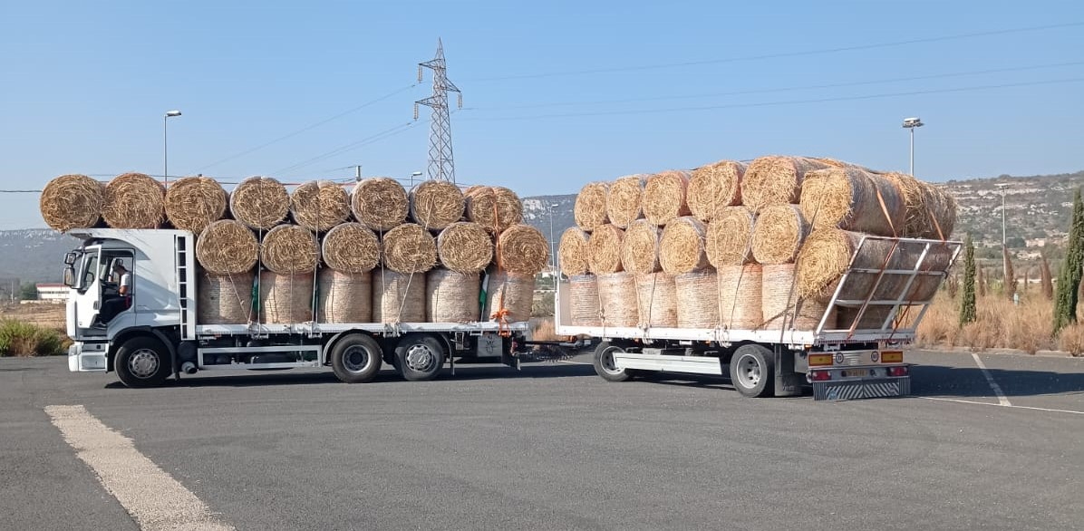 Caltanissetta, “Bonus Fieno”, individuata area di stoccaggio