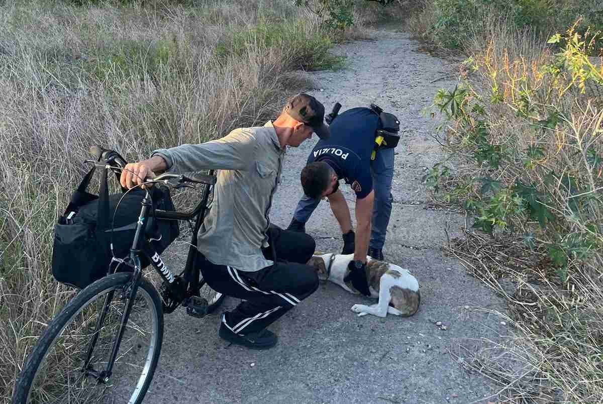 Incendio a Catania, poliziotti salvano uomo senza fissa dimora insieme al suo amico a quattro zampe