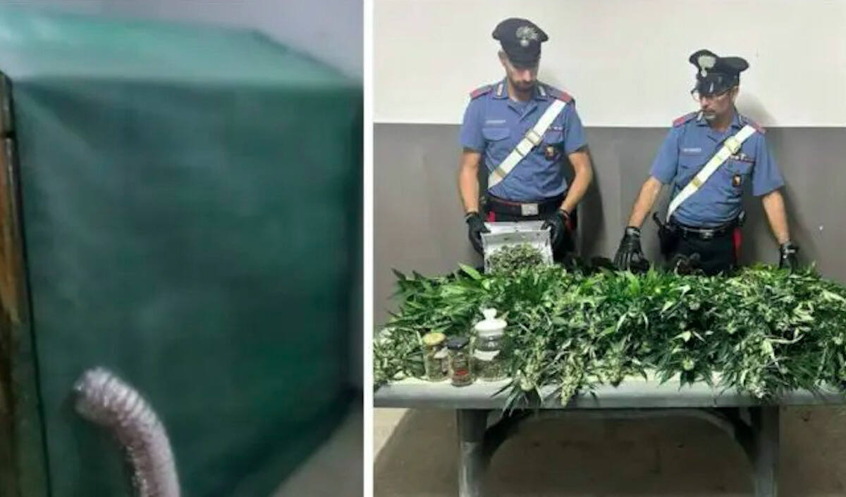 Messina, costruisce una serra di marijuana in casa: 49enne in manette