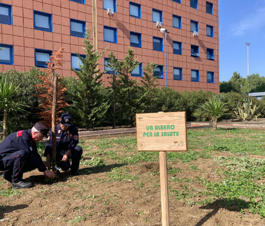 Agrigento, un albero per la salute all’ospedale San Giovanni di Dio