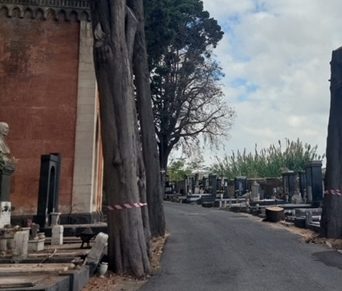Ognissanti, regole speciali per viabilità e trasporti a Catania