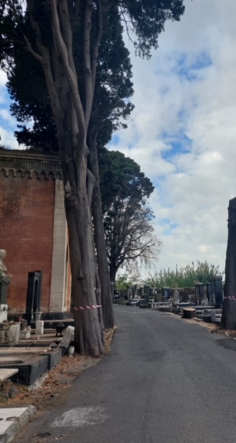 Ognissanti, regole speciali per viabilità e trasporti a Catania