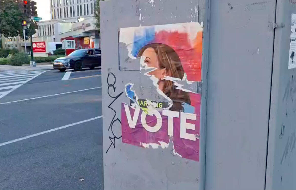 Usa 2024, economia e migranti i temi più caldi a due giorni dal voto